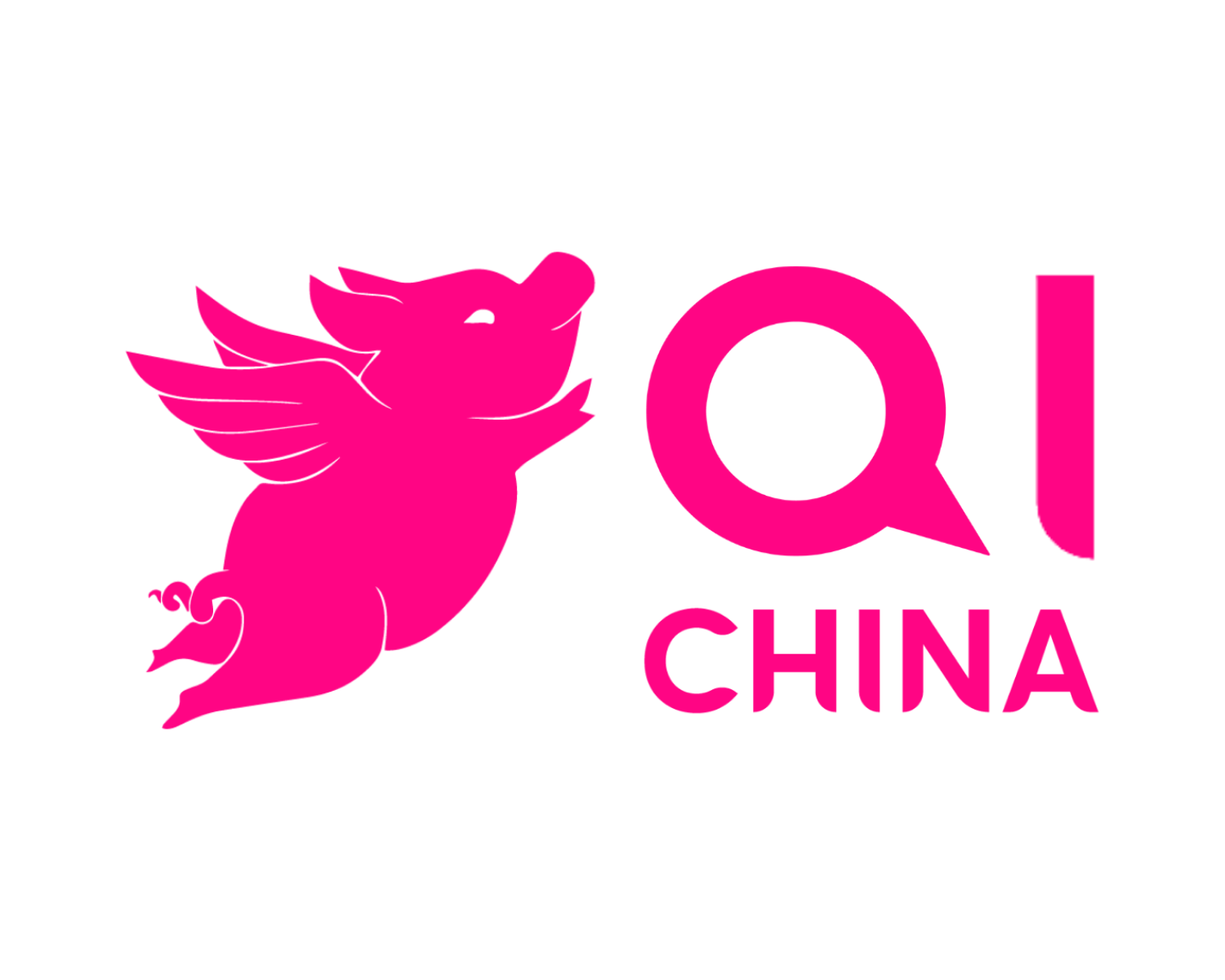 Instituto QI China